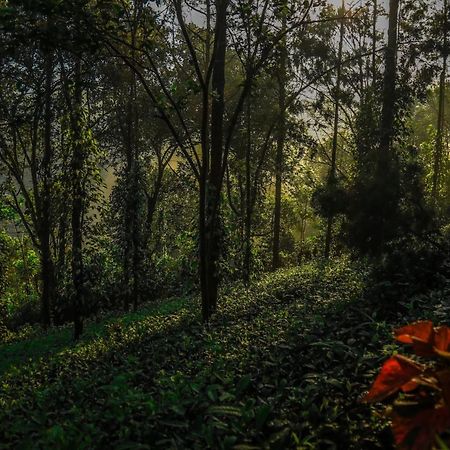Southern Panorama Indriya Resorts & Spa ムンナール エクステリア 写真