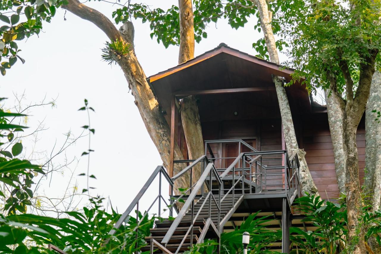 Southern Panorama Indriya Resorts & Spa ムンナール エクステリア 写真