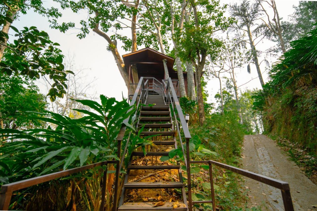 Southern Panorama Indriya Resorts & Spa ムンナール エクステリア 写真