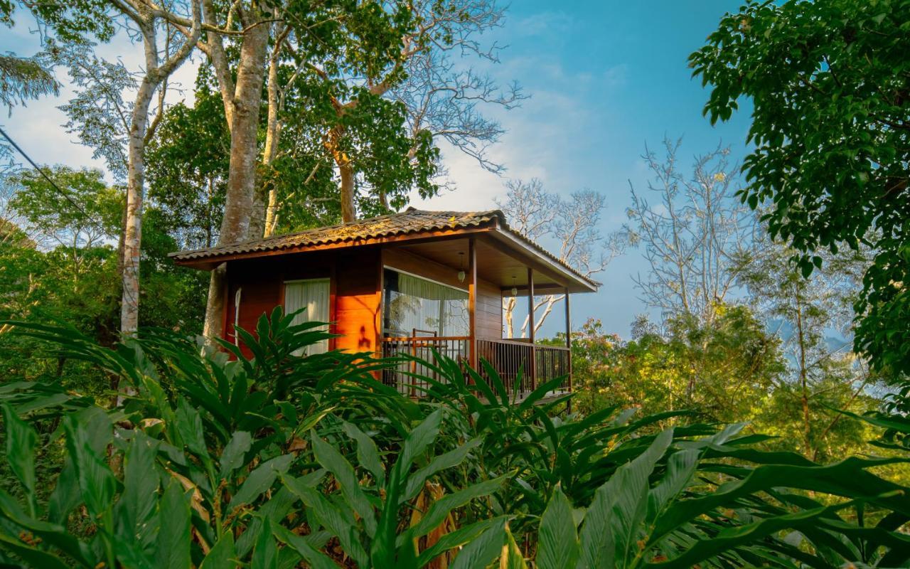 Southern Panorama Indriya Resorts & Spa ムンナール エクステリア 写真