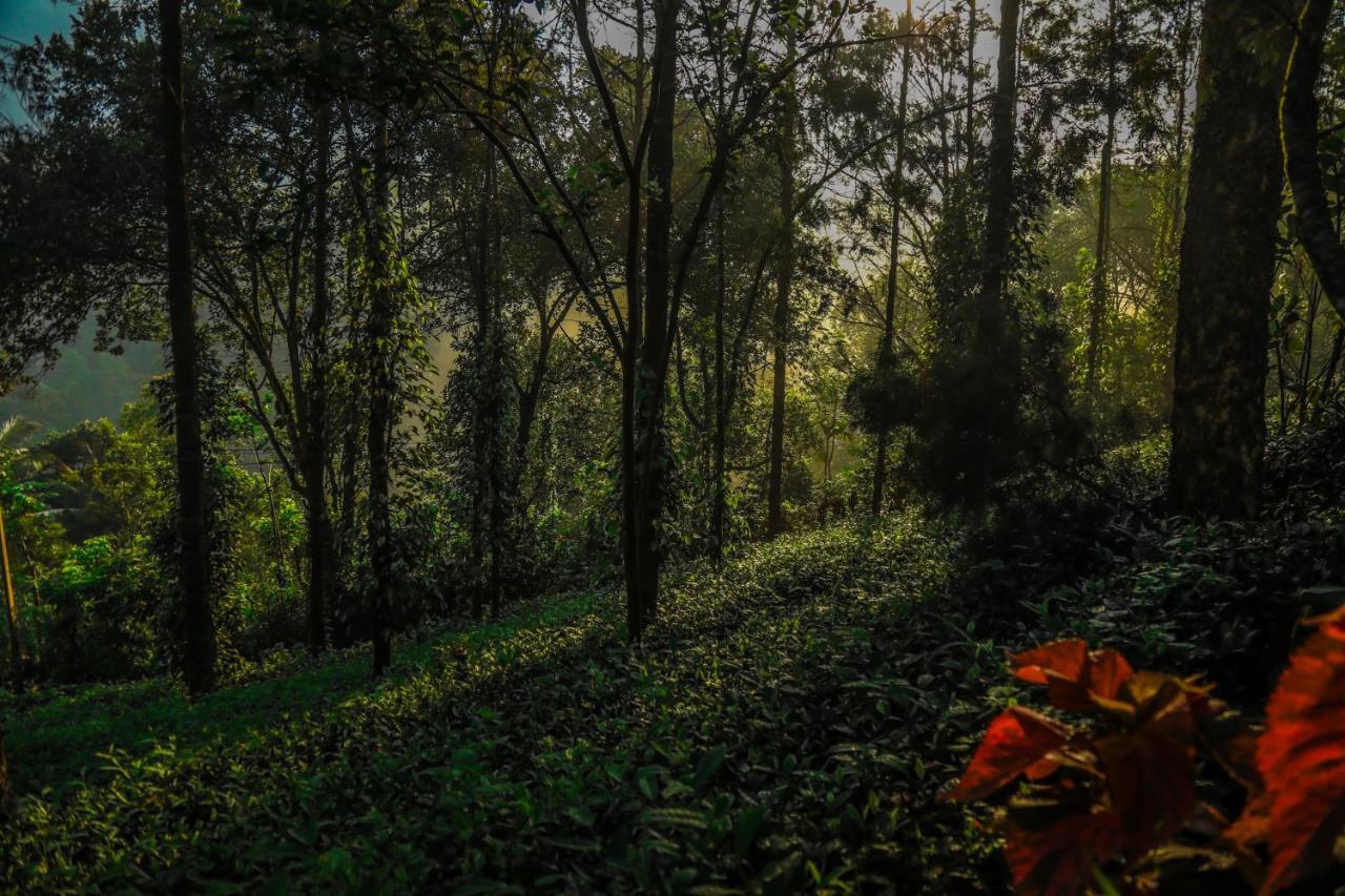 Southern Panorama Indriya Resorts & Spa ムンナール エクステリア 写真